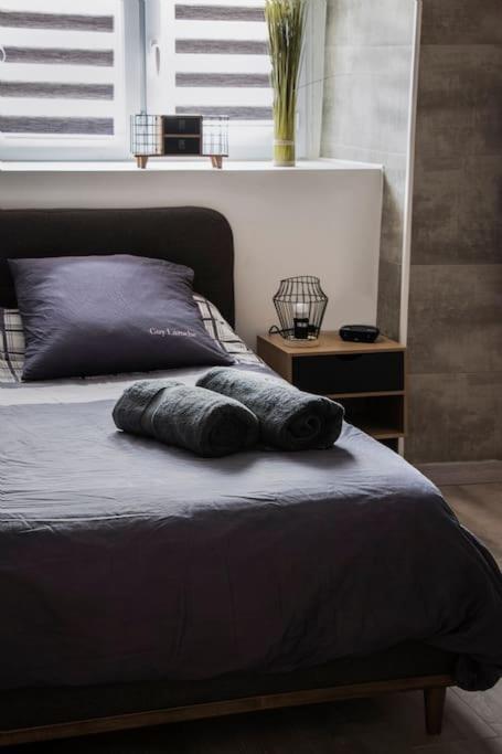 Les 4 Chenes - T2 Refait A Neuf Apartment Le Pont-de-Beauvoisin Ngoại thất bức ảnh